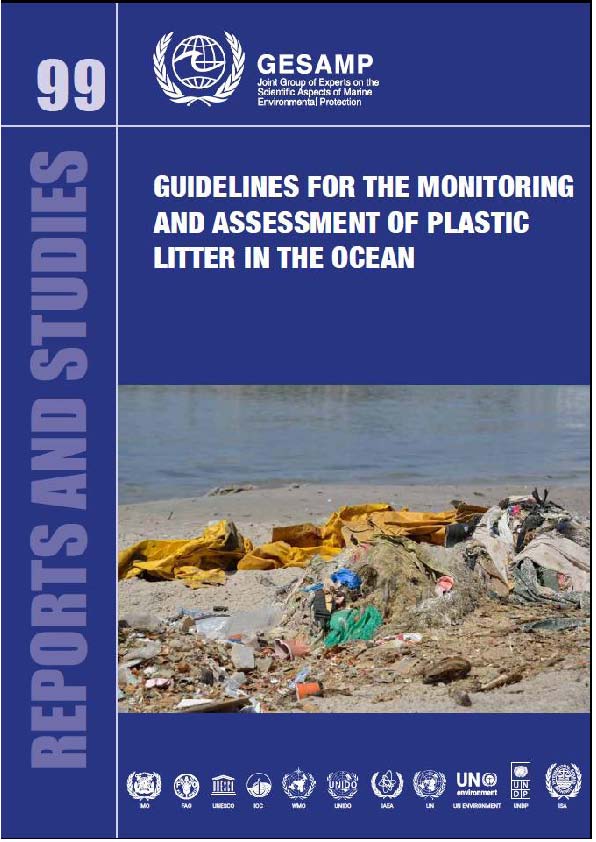 Guidelines for the Monitoring and Assessment of Plastic Litter in the