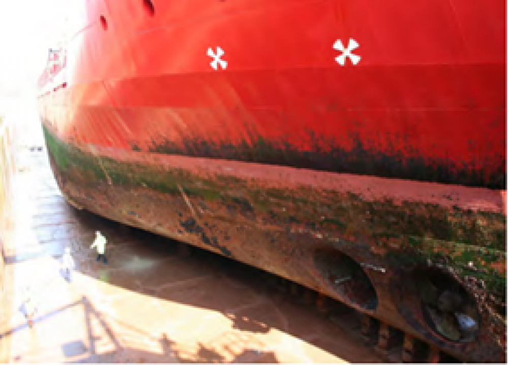 Microfouling biofilm on a ship’s hull.