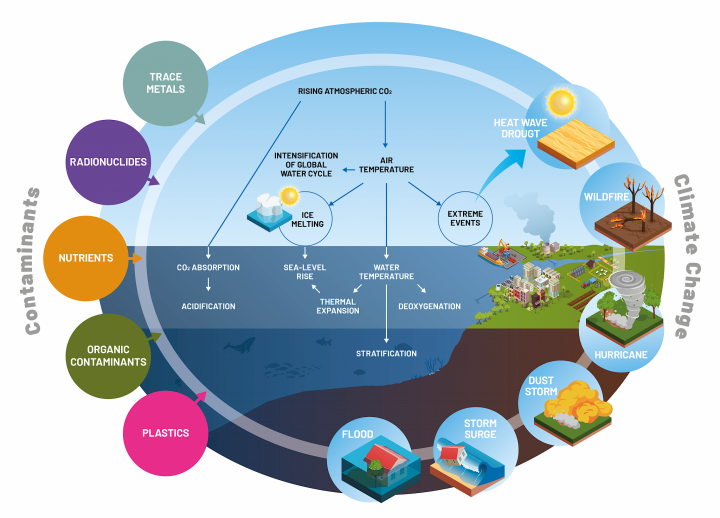 Indirect impacts: climate change & contaminant behaviour